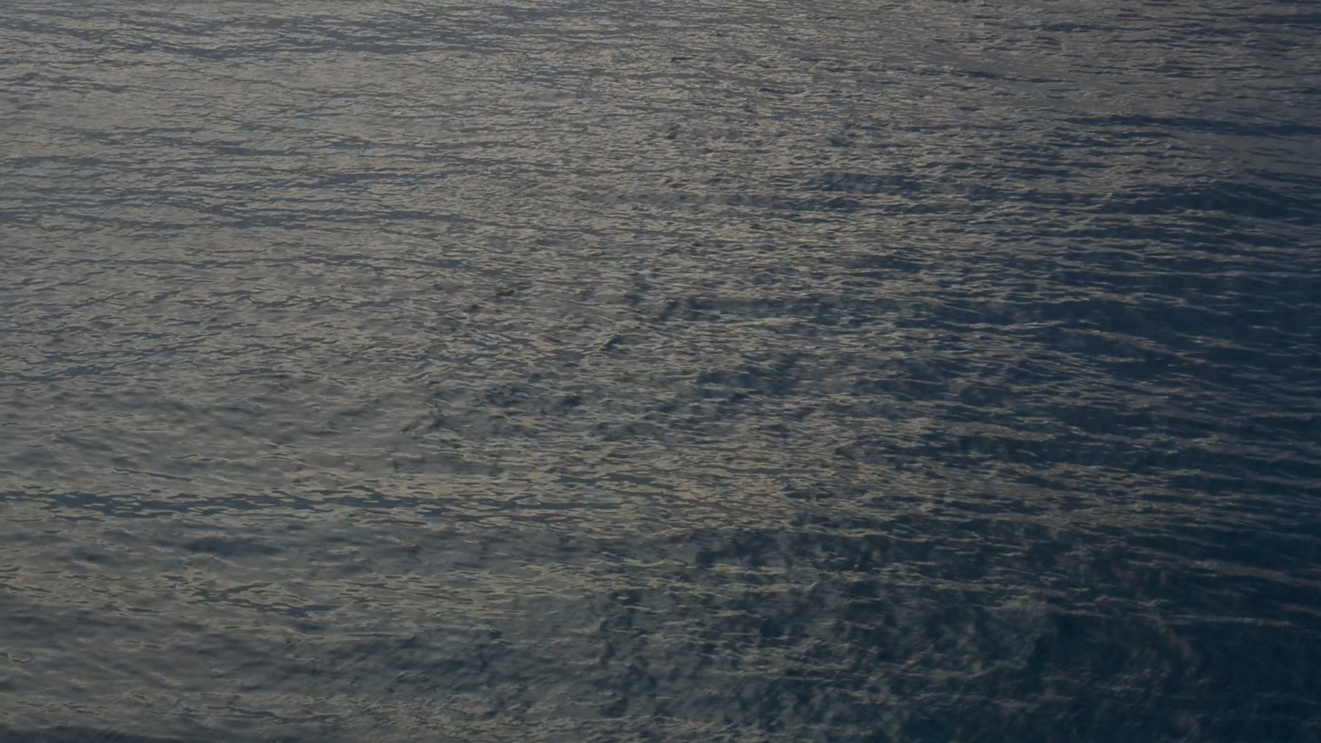 2022-11-07 16 Uhr 50 das Meer (Video)